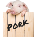 GovernmentPork