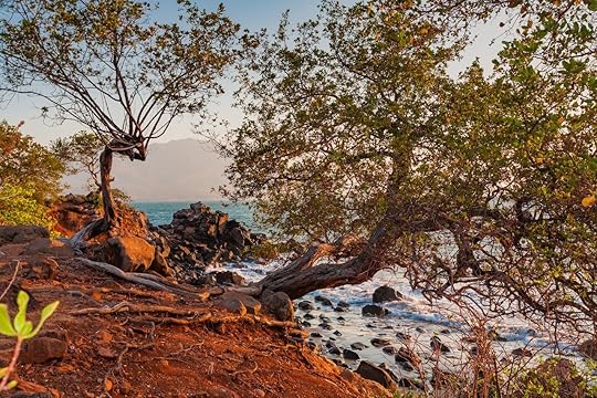 Tropical beach with trees in the Gulf of Fonseca in El Salvador
