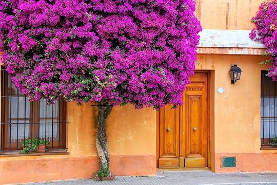 Tree growing by house in Uruguay