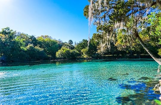 Turquoise water at the Silver Glen Springs Recreation Area in Florida