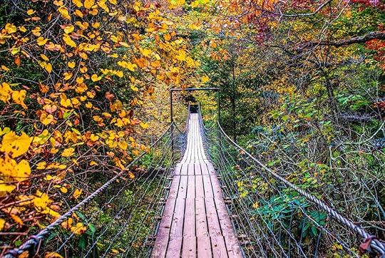 Wood bridge surrounded by fall foliage in Fall Creek Falls State Park, Pikeville, Tennessee