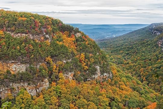 Cloudland Canyon State Park Overlook View During Autumn in Georgia