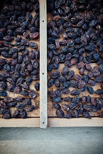 spiced california prunes| Nik Sharma