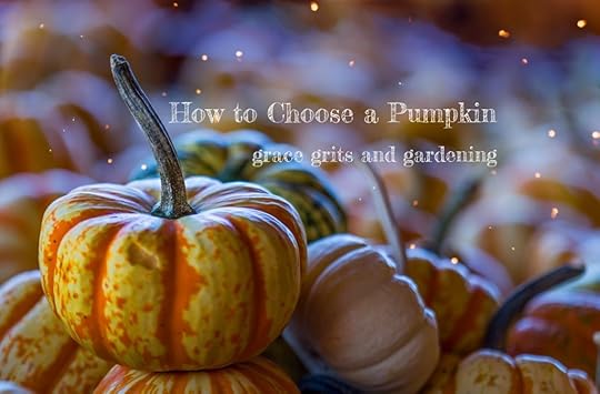 How to Choose a Pumpkin