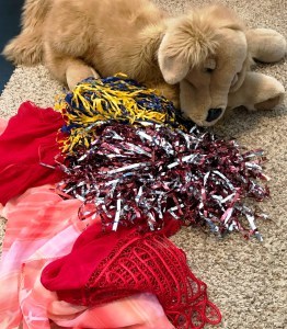 Our kids, Sonoma County fires, how children recover from a fire, how to help kids recover from a natural disaster, math, art, acting, singing, tools for kids emotional recovery, Sonoma fires 2017