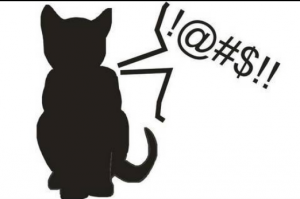 KittySwearing
