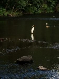 You Are Not Invisible