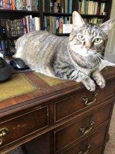 Positivity can be found anywhere