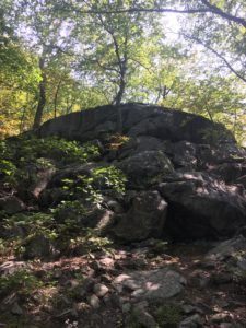 The Same, but Different