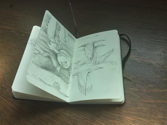 Calling the geese...