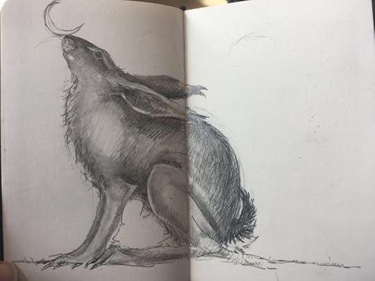 Hare by Jackie Morris