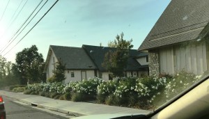 St. Mark Lutheran Church, Sonoma County fires, practical helps in crisis, 2017 fires, what to do to help people, church members ministering to each other and Santa Rosa