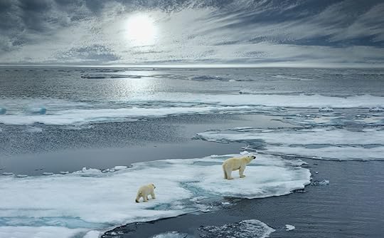 polar bear sow and cub walk on ice floe in norwegian arctic waters