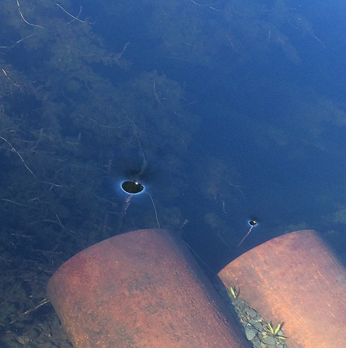 tiny whirlpools-parent and child