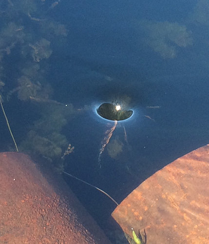 tiny whirlpool swallowing the sun
