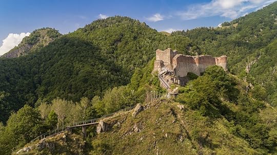 Aerial view from ruined Poenari Castle on Mount Cetatea in Romania