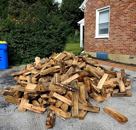 Seasoned oak firewood just waiting for its chance to heat the house
