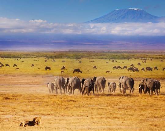 By Robin Van Auken on Volunteer Forever