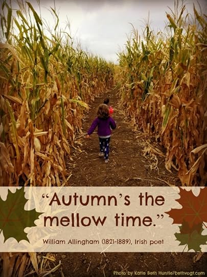 Small girl in a corn maze