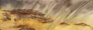 Rain on Dartmoor