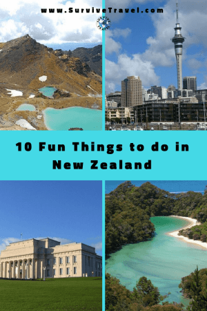 Pin, 10 Fun Things to do in New Zealand, Survive Travel