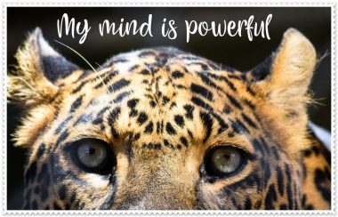 my-mind-is-powerful-POSTER