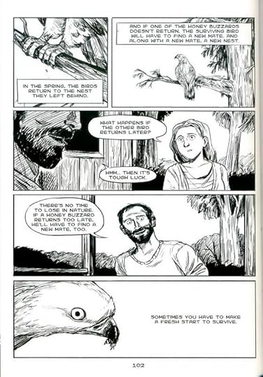 Aim_e-de-_Jongh-_The-_Return-of-the-_Honey-_Buzzard-1