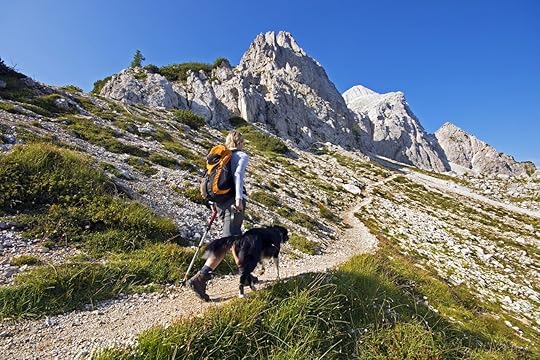 Young woman with dog on a sunny day in high mountains
