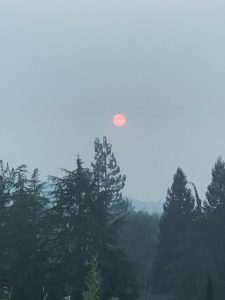 Sonoma County Fires, One year later, personal reflections, living in a shadow of grief, Santa Rosa, Tubbs fire, emotional fallout from devastating fires