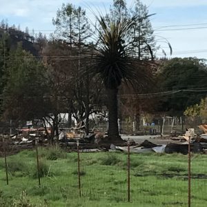 Sonoma County Fires, One year later, personal reflections, living in a shadow of grief, Santa Rosa, Tubbs fire, emotional fallout from devastating fires