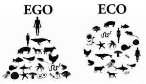 Ego:jEco