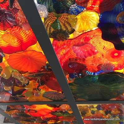 Chihuly ceiling at San Antonio Museum of Art in San Antonio, Texas