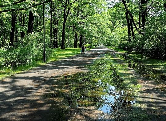 Dreamlike colors, light and shadows during a sunny day in Lodz