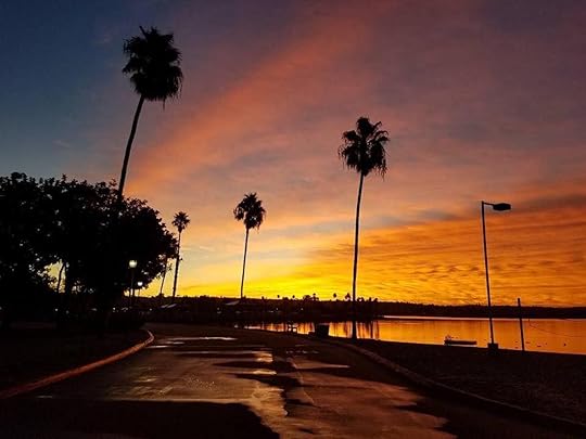 Palm tree silhouettes at sunset at Campland on the Bay in San Diego