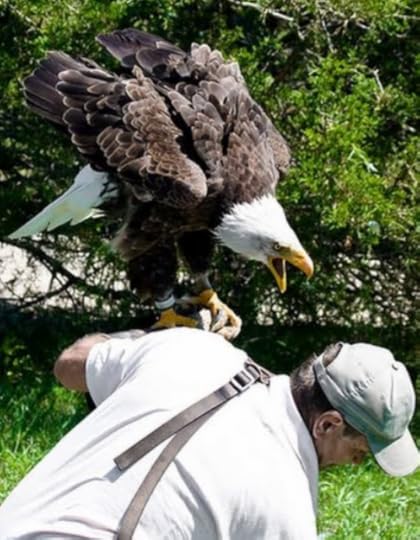 Screenshot-2018-10-15-02-08-06-1-1