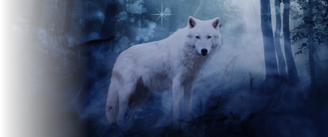 Sneak Peek of Dire Wolf Wanted