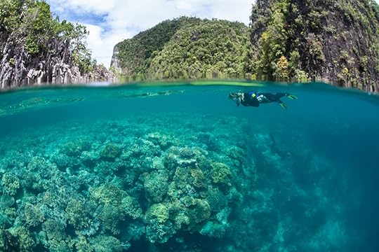 Snorkeler swimming over a coral reef in Raja Ampat