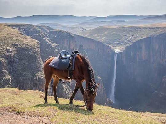 Basuto pony in front of Maletsunyane Falls in Lesotho