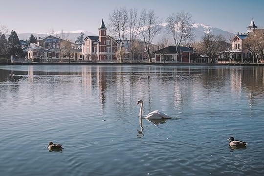 Ducks in a lake with mountains and town in the background