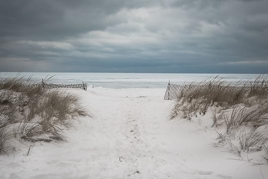 Snow covered beach with wild grass and gloomy clouds
