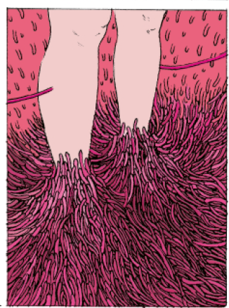  photo 2018-10-17 4_zps4h6lrcj1.png