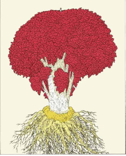  photo 2018-10-17 20_zpsr2oxq7su.png