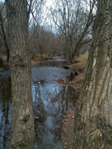 How do Want and Desire Differ?