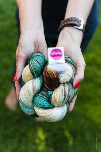 CleverChevyDecontructed-1588