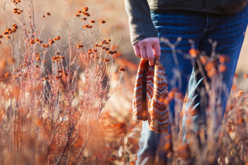 Clever Chevy -0011-Edit