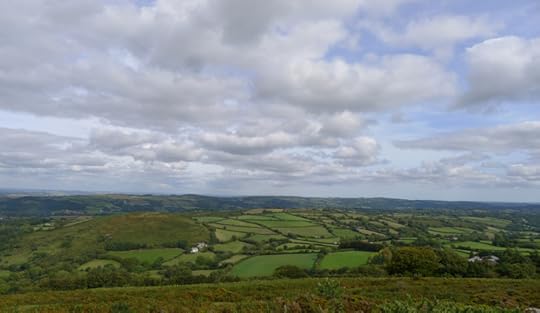 Meldon 8