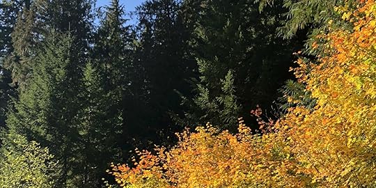 Golden Highlights in Oregon