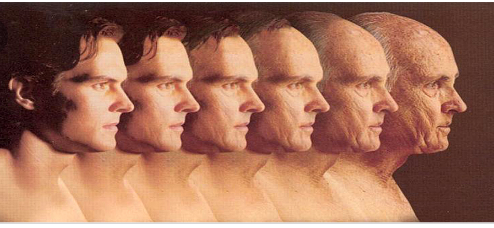 Screenshot-2018-10-18-13-12-23-1