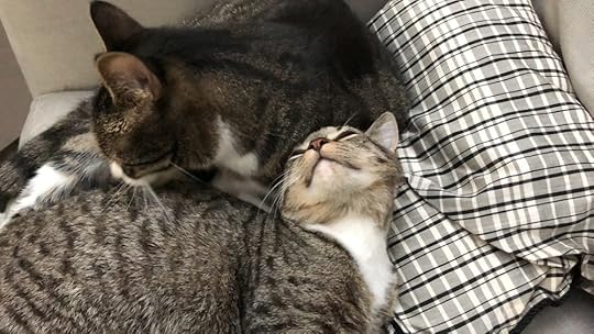 emelina and ivy