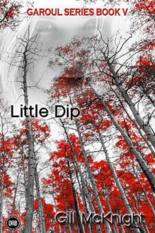 Little Dip_Gill McKnight